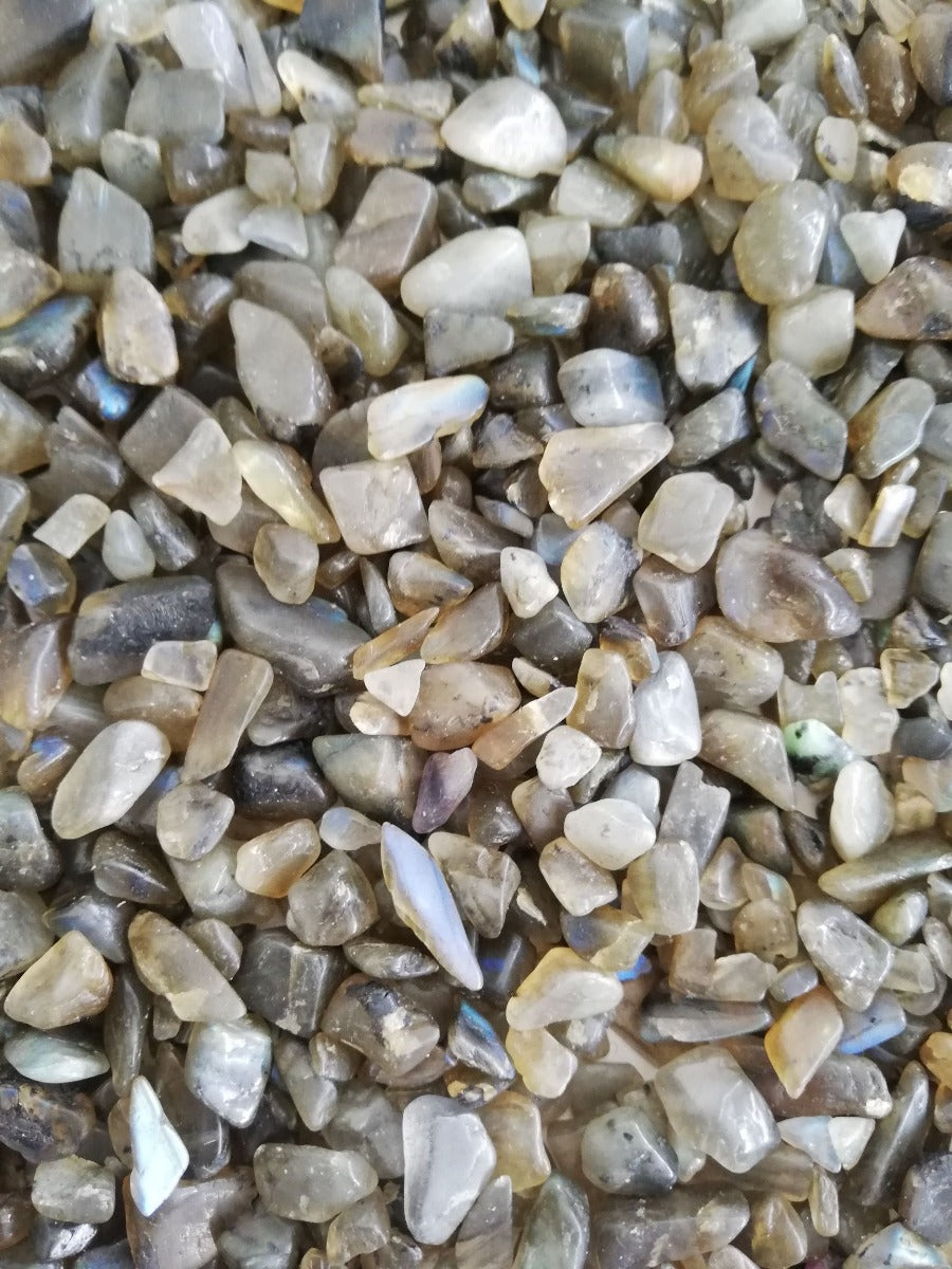 Labradorite Chips 250gm Pack Labradorite Chips 250gm Pack